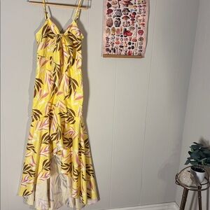 Rosevelvet Yellow and Pink Floral Maxi Dress